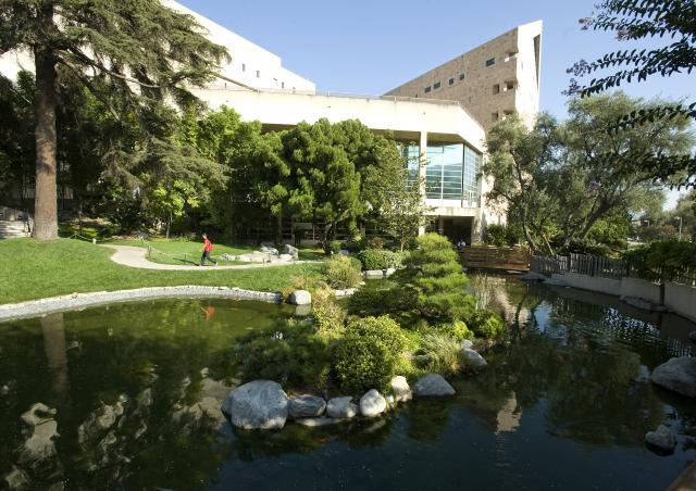 About The Profession Of Landscape Architecture Department Of about-the-profession-of-landscape-architecture-department-of